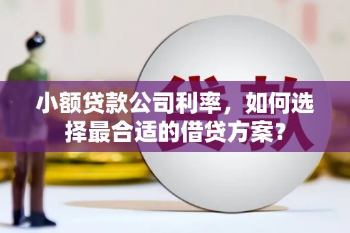 大朗小额贷款公司利率，如何选择最合适的借贷方案？