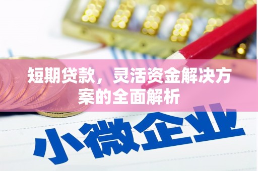 大朗短期贷款，灵活资金解决方案的全面解析