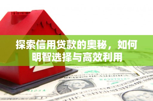 大朗探索信用贷款的奥秘，如何明智选择与高效利用
