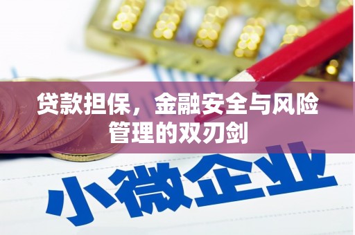 大朗贷款担保，金融安全与风险管理的双刃剑