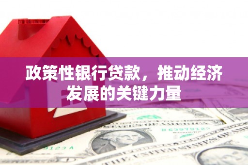 大朗政策性银行贷款，推动经济发展的关键力量