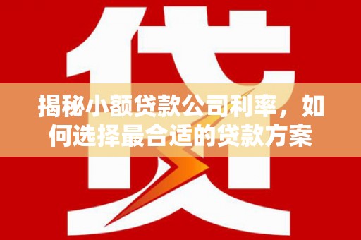 大朗揭秘小额贷款公司利率，如何选择最合适的贷款方案