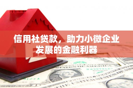 大朗信用社贷款，助力小微企业发展的金融利器