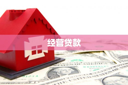 大朗经营贷款