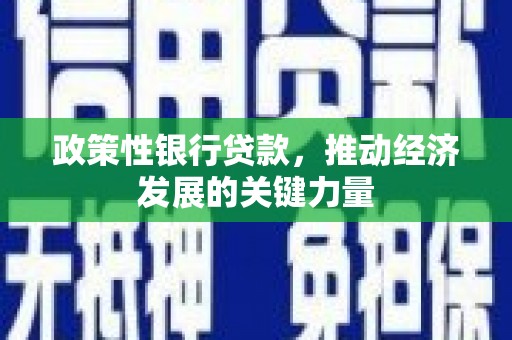 大朗政策性银行贷款，推动经济发展的关键力量