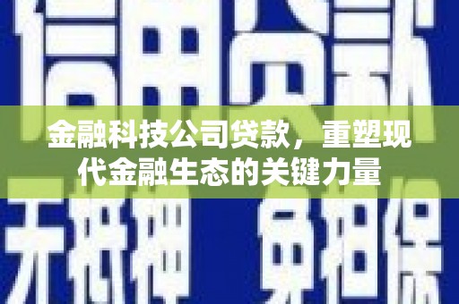 大朗金融科技公司贷款，重塑现代金融生态的关键力量