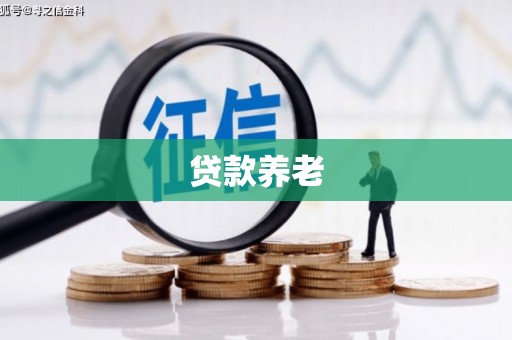 大朗贷款养老