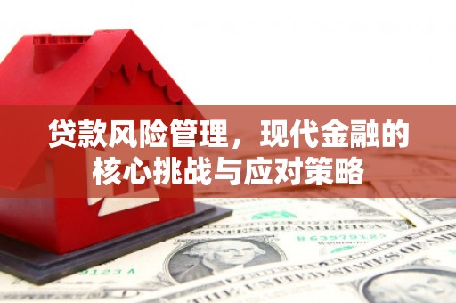 大朗贷款风险管理，现代金融的核心挑战与应对策略