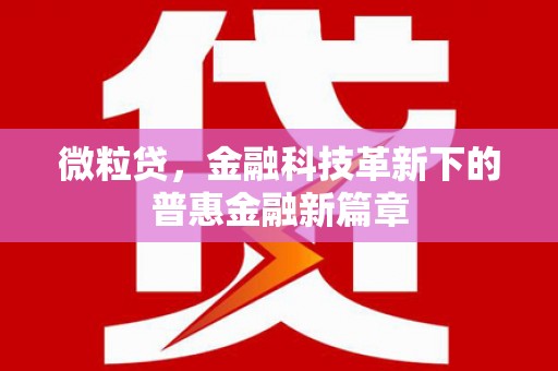 大朗微粒贷，金融科技革新下的普惠金融新篇章