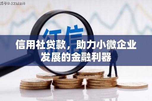 大朗信用社贷款，助力小微企业发展的金融利器