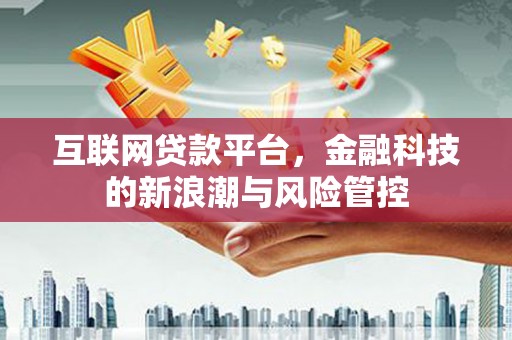 大朗互联网贷款平台，金融科技的新浪潮与风险管控