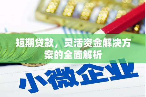 大朗短期贷款，灵活资金解决方案的全面解析