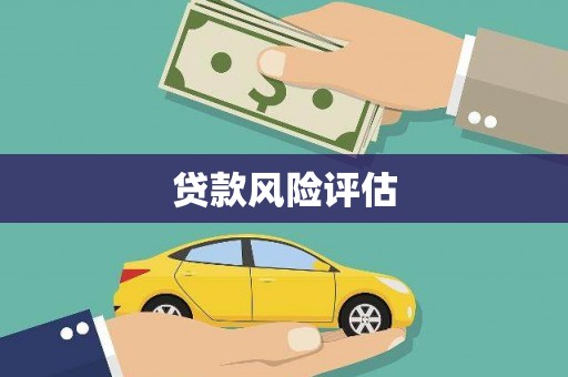 大朗贷款风险评估
