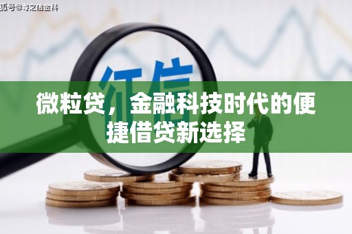 大朗微粒贷，金融科技时代的便捷借贷新选择