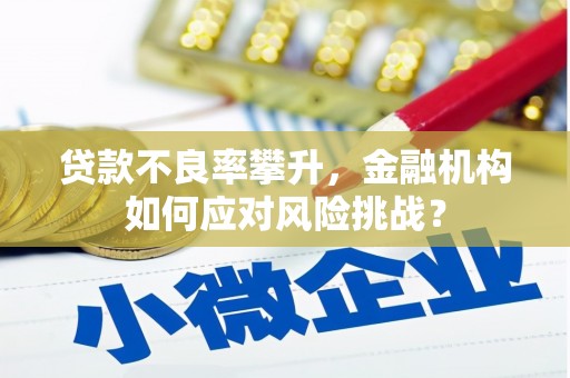 大朗贷款不良率攀升，金融机构如何应对风险挑战？
