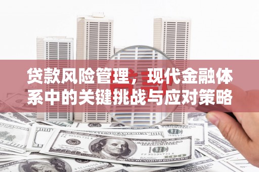 大朗贷款风险管理，现代金融体系中的关键挑战与应对策略