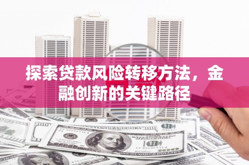 大朗探索贷款风险转移方法，金融创新的关键路径
