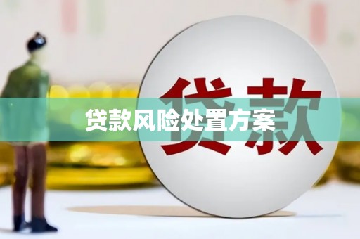 大朗贷款风险处置方案
