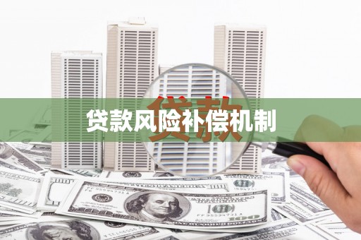 大朗贷款风险补偿机制