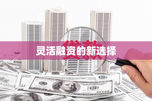 大朗灵活融资的新选择