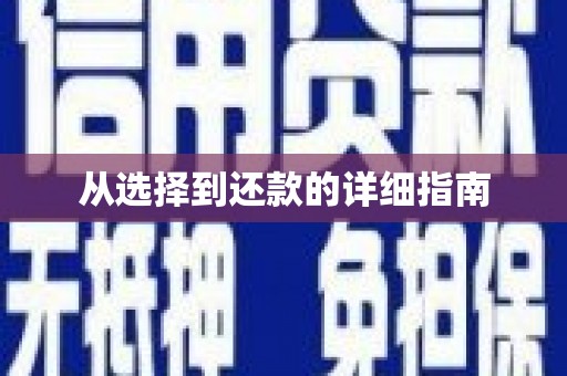 大朗从选择到还款的详细指南