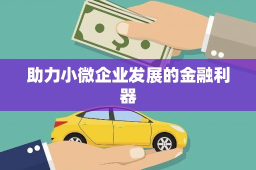 大朗助力小微企业发展的金融利器
