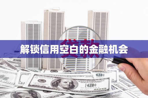 大朗解锁信用空白的金融机会
