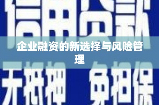 大朗企业融资的新选择与风险管理