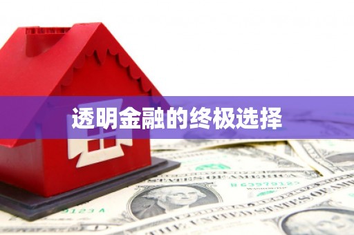 大朗透明金融的终极选择