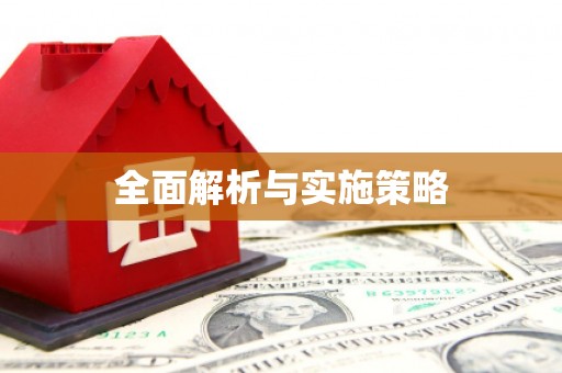 大朗全面解析与实施策略