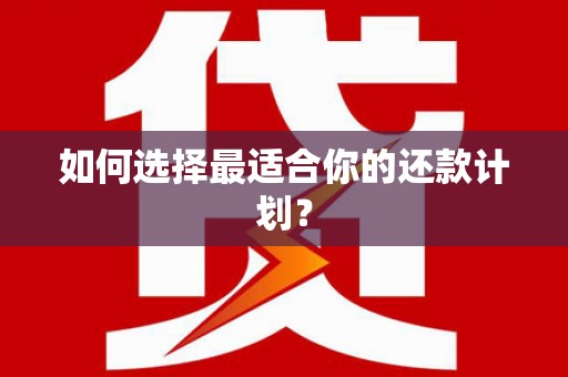 大朗如何选择最适合你的还款计划？