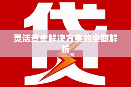 大朗灵活资金解决方案的全面解析