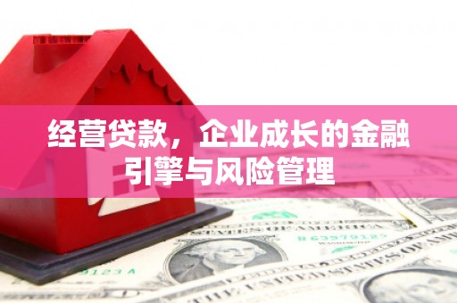 大朗经营贷款，企业成长的金融引擎与风险管理