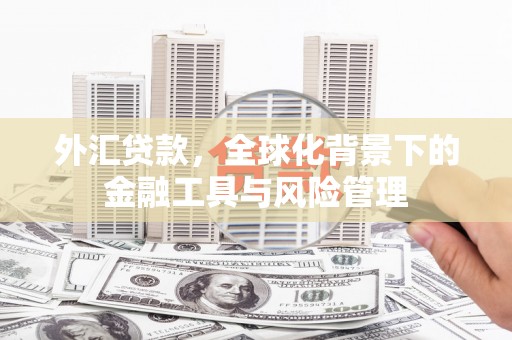 大朗外汇贷款，全球化背景下的金融工具与风险管理