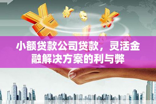 大朗小额贷款公司贷款，灵活金融解决方案的利与弊